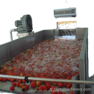 Meyve ve sebze yıkama ve sıralama makinesi